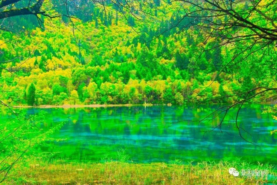 沪江开心词场