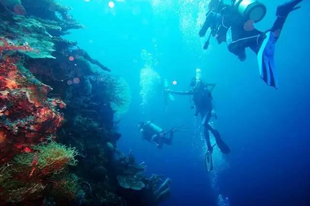 做脂肪填充、40岁脂肪填充成活率、脂肪填充后怎么样才能保证成活率