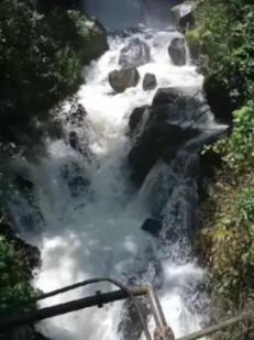狂野的飙客无敌版
