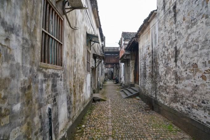 广东省政协委员为大湾区高质量发展建言献策